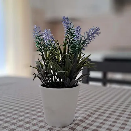 La Tappa Del Vignaiolo * 马莫亚达